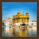 Devin Golden Temple Paintings (Golden Temple) 